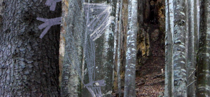 IM WALD